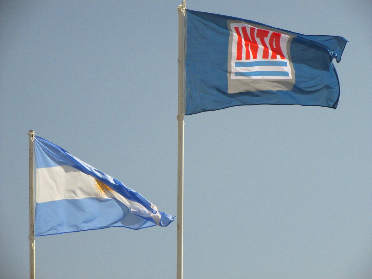 El Centro de Ingenieros Agrónomos de General Cabrera y Zona manifiesta su firme apoyo a la labor que el INTA realiza diariamente en investigación y extensión rural.

¡Defendamos al INTA!
Su trabajo es esencial para el presente y el futuro del campo argentino.