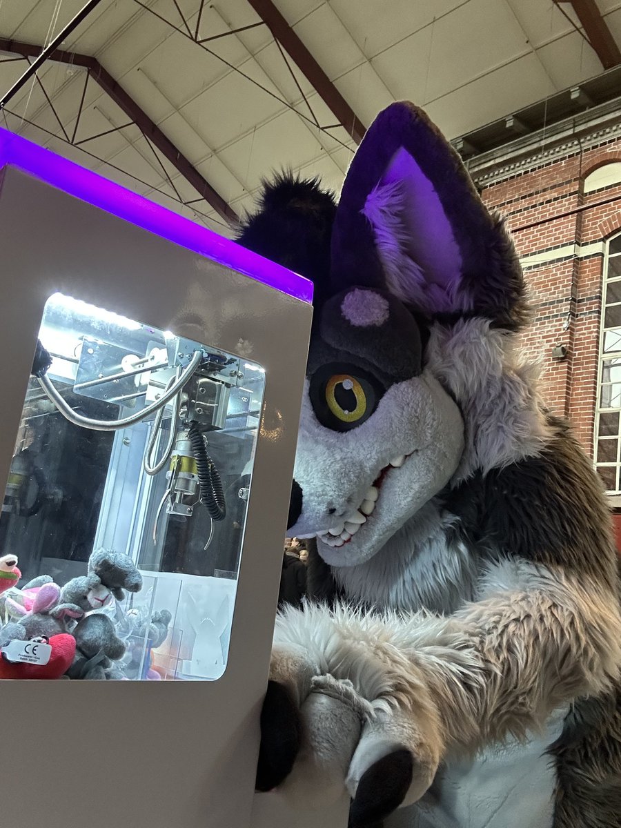 Total concentration for plushie's.
#FursuitFriday #Furries #Furry
