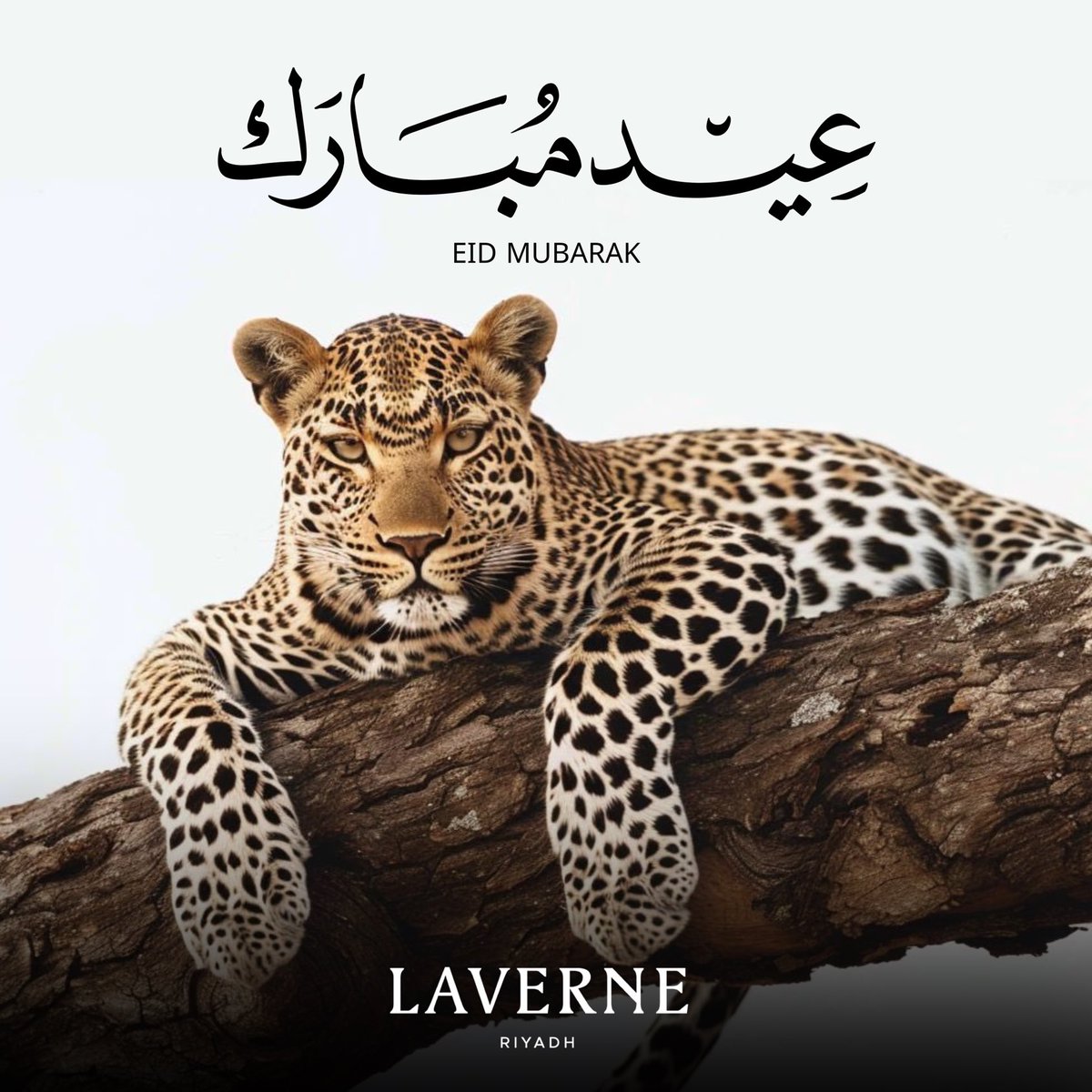 نتمنى لكم في لافيرن عيد أضحى مبارك.