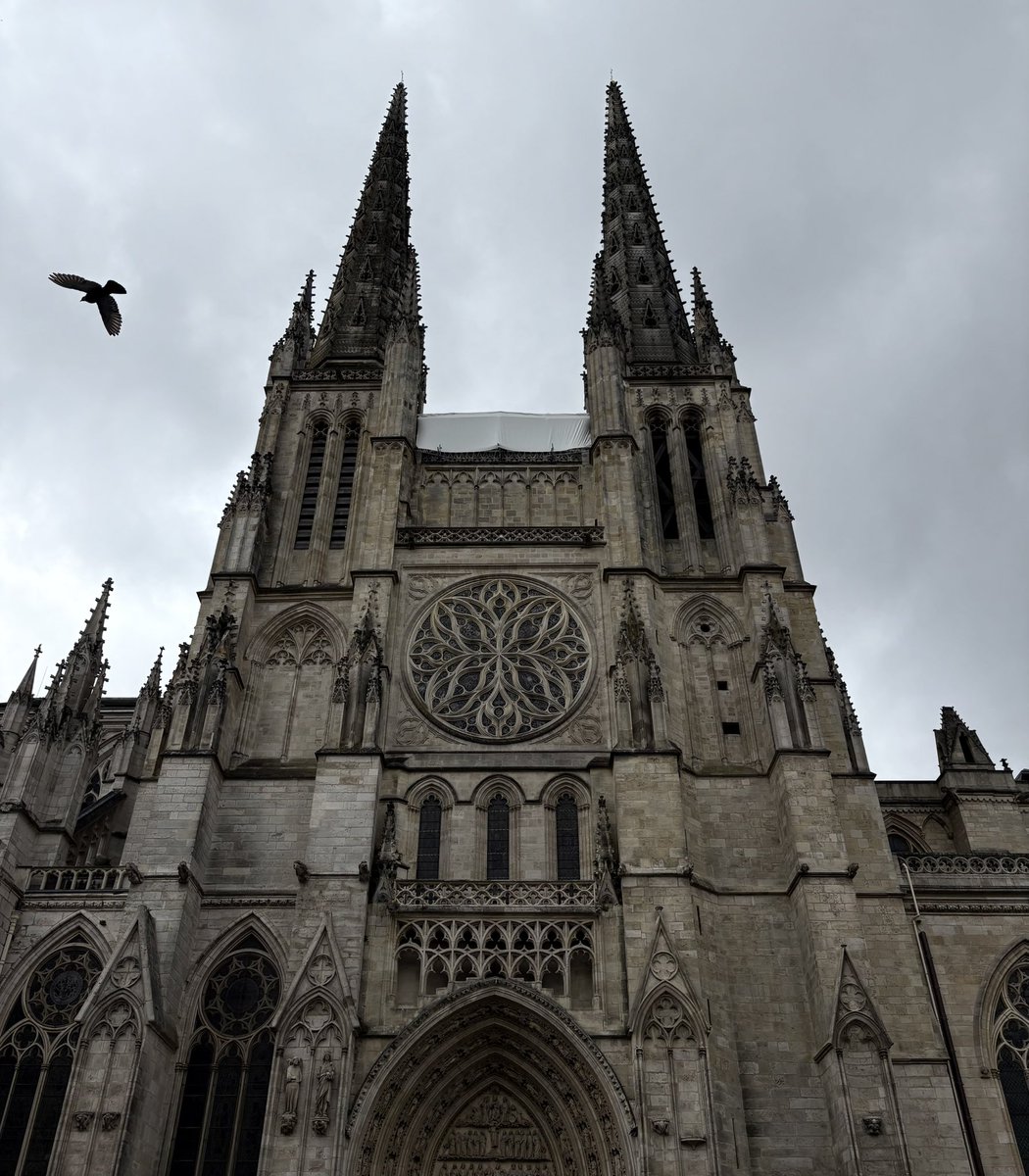 MCaneva (@lfcmfighter) on Twitter photo Found the next cover for a DeathDoom album in the heart of Bordeaux
<a href="/KMANRIFFSMetal/">𝕶𝕸ä𝕹𝕽𝖎𝖋𝖋𝖘</a> <a href="/Thrasher768/">☠️🤘Thrasher🤘☠️</a> <a href="/ColdasBryyyce/">Cold as Bryce</a> <a href="/savagesheepy/">Blunt</a> <a href="/CoreyMirisola/">CDM</a> Found the next cover for a DeathDoom album in the heart of Bordeaux
<a href="/KMANRIFFSMetal/">𝕶𝕸ä𝕹𝕽𝖎𝖋𝖋𝖘</a> <a href="/Thrasher768/">☠️🤘Thrasher🤘☠️</a> <a href="/ColdasBryyyce/">Cold as Bryce</a> <a href="/savagesheepy/">Blunt</a> <a href="/CoreyMirisola/">CDM</a>