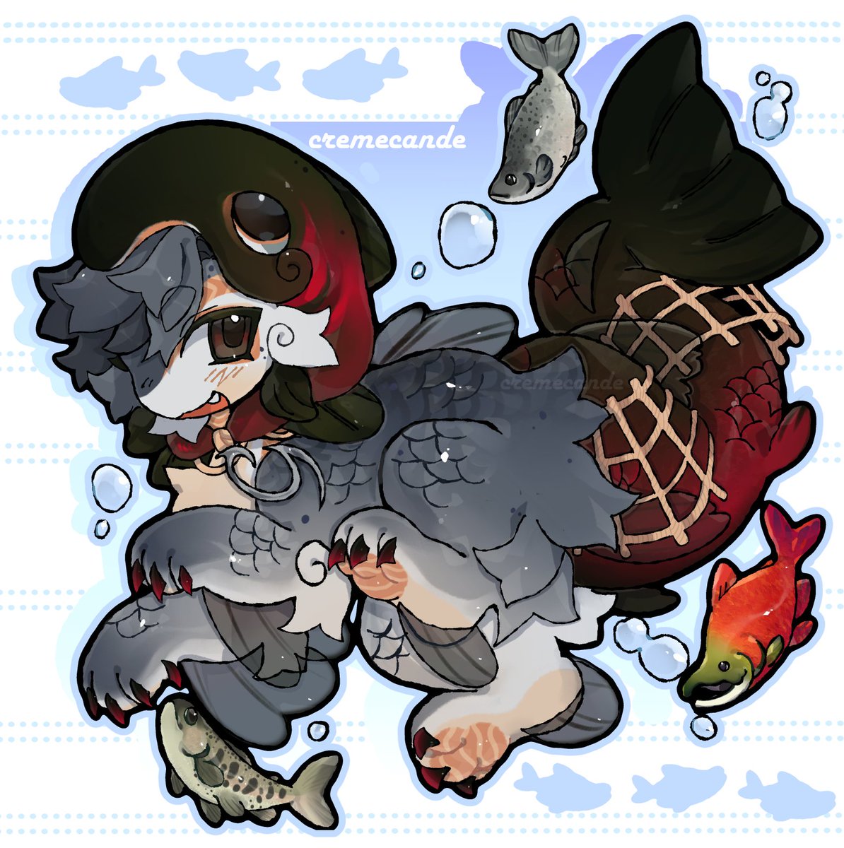 Can you guess the salmons ??🐟🐟🐟