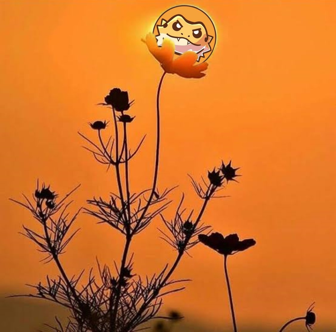 <a href="/beardy_eth/">Bearded Dragon</a>