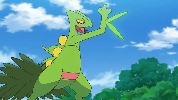 shreyan404's tweet photo. @Kairavii_Rajput Sceptile https://t.co/afnUDqzw1E