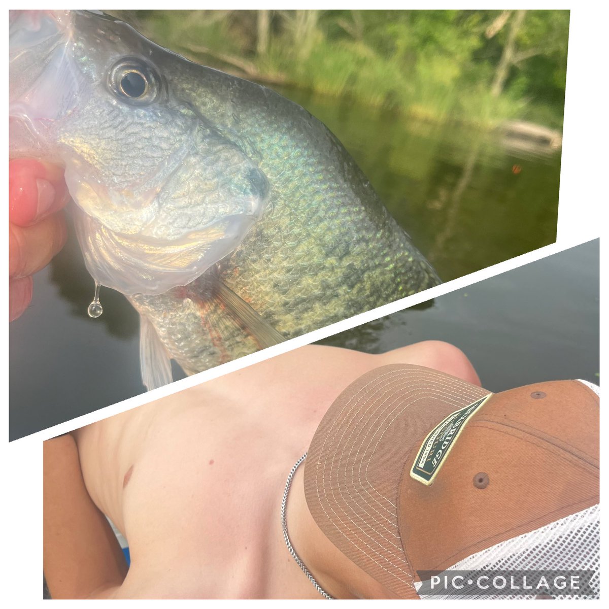 Somebody needs to tell ⁦<a href="/mtdub_1/">mitch williams</a>⁩ you catch more if you’re not sleeping!!!