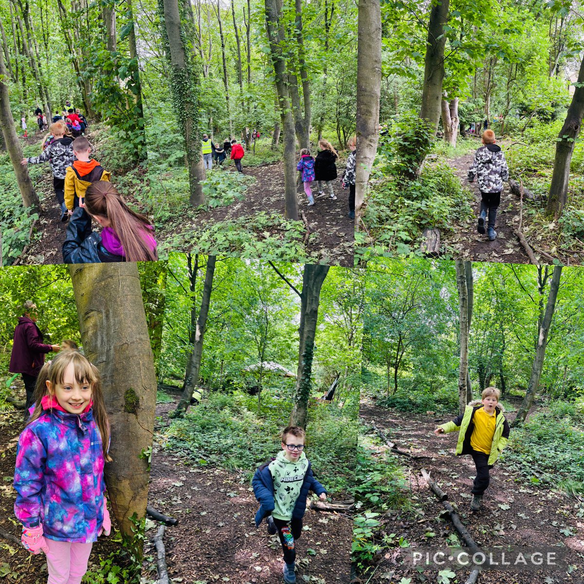 OldEarthYear3's tweet photo. Forest school afternoon @CrossLaneSchool 🌳🪾🍃🍁 https://t.co/XAjJqXETOR