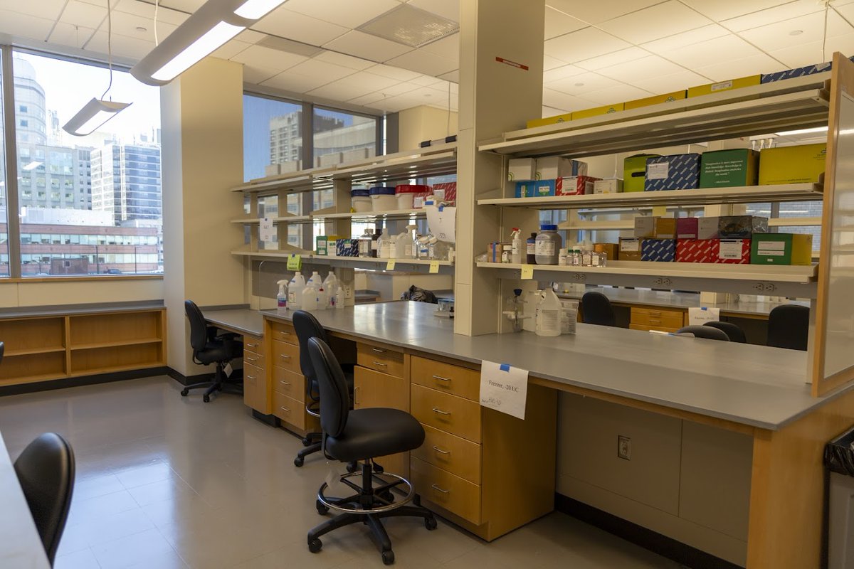 🔬 Big news from Joslin Diabetes Center! We've officially moved our research labs to a brand-new, custom-designed space at 3 Blackfan St. With 20 labs &amp; 4 research cores, this move boosts collaboration in our mission to cure diabetes. Learn more ⤵️ bit.ly/4n7RhuD