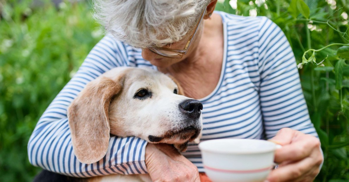 Is the secret to healthy #longevity...a wagging tail? 🐶

We focus on tech — wearables, genomics, apps. But what if one of the most powerful innovations is already curled up on your sofa?

Read the full article here: bit.ly/4kLQxJw 👈 

#AgeingIntelligence
