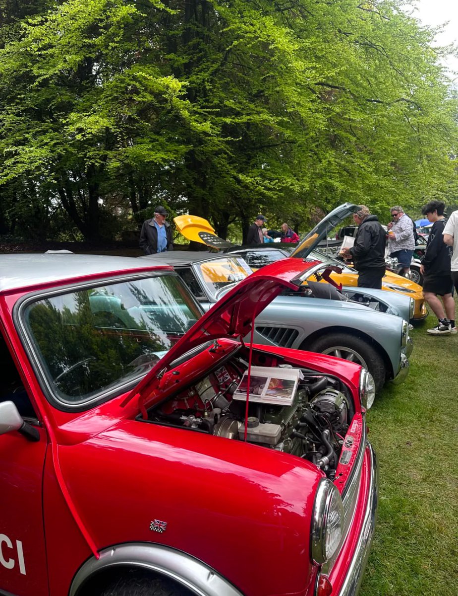 Daisy (@nvinh) on Twitter photo 