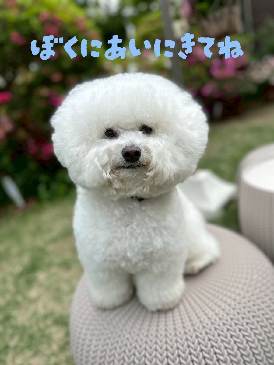 ♡：：：♡：：：：♡：：：：♡：：：♡ 最終回当日‼️応援企画【第1