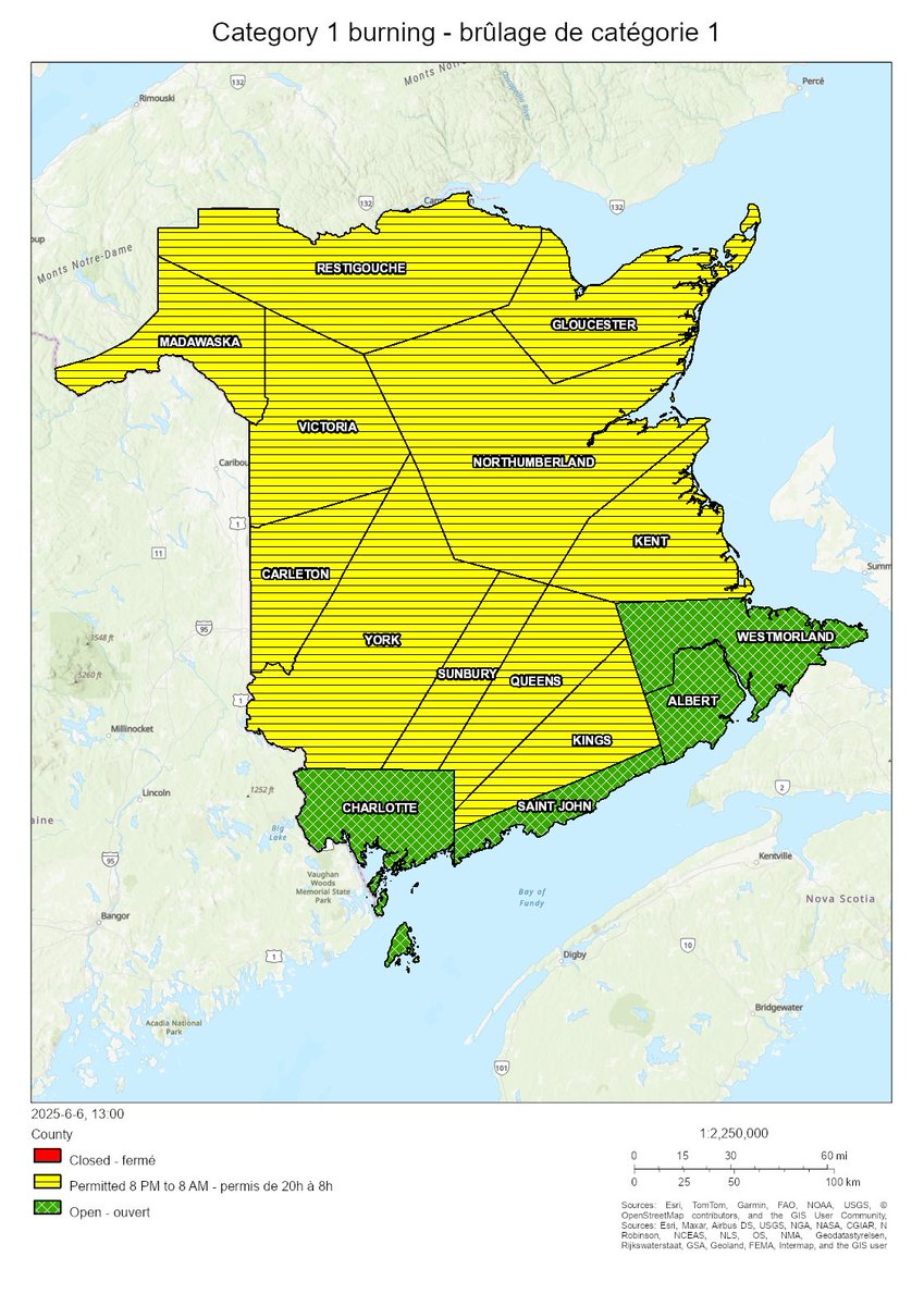 Burning conditions are valid from 2 PM June 06 to 2 PM June 07. The following counties are open for burning: Albert, Charlotte, Saint John, Westmorland. In all other counties burning is permitted between 8 PM and 8 AM.