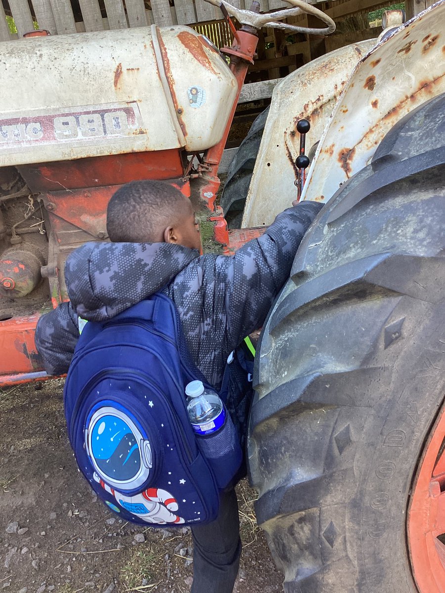Miss Brewin HCPS (@missbrewinsen) on Twitter photo We fell in love with the old tractor and enjoyed singing “old McDonald had a farm” as we watched the ducks run by us <a href="/HazelSchool/">Hazel Community Primary School</a> We fell in love with the old tractor and enjoyed singing “old McDonald had a farm” as we watched the ducks run by us <a href="/HazelSchool/">Hazel Community Primary School</a>