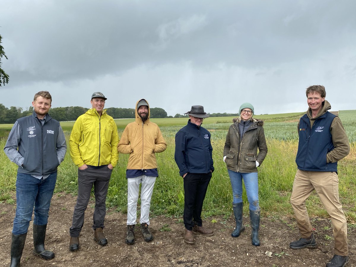 Nonington Farms (@noningtonfarms) on Twitter photo #Resilient&ReadyProgramme <a href="/CortevaUK/">Corteva UK</a> training on farm today <a href="/LEAF_Farming/">LEAF</a> <a href="/LEAF_Education/">LEAF Education</a> Got soaked but the crops were pleased to have the 🌧️. Great fun, sharing ideas & always learning #IFM Good to meet like minded farmers #Resilient&ReadyProgramme <a href="/CortevaUK/">Corteva UK</a> training on farm today <a href="/LEAF_Farming/">LEAF</a> <a href="/LEAF_Education/">LEAF Education</a> Got soaked but the crops were pleased to have the 🌧️. Great fun, sharing ideas & always learning #IFM Good to meet like minded farmers