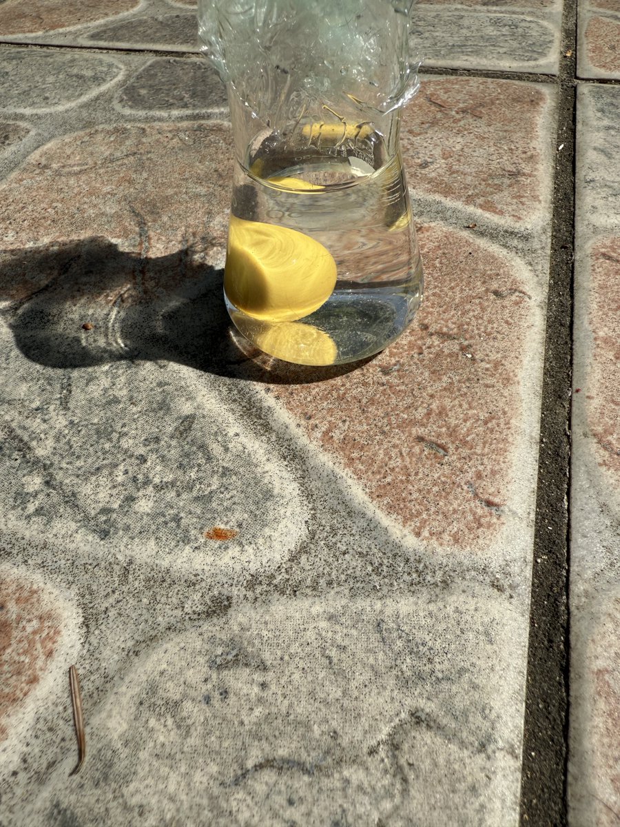 It’s a #feature!
I thought doing some cosmetic upgrade and I decided to give the dark yellow trackball a nice hydrogen peroxide retro brighting treatment… turns out that the dark color was intentional… 😂 
Left: before. right: after