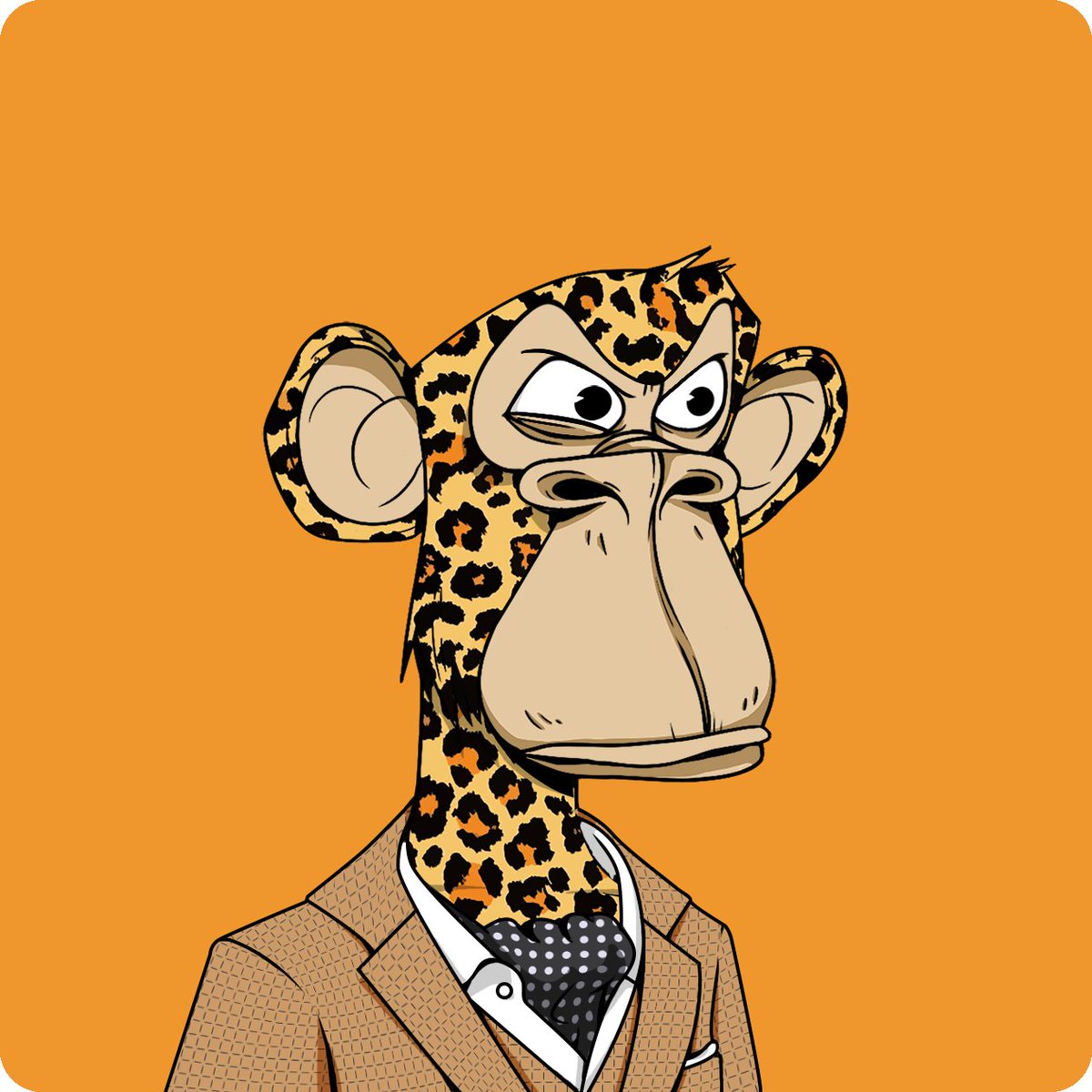 I am a Bored Ape. I own and manage a fund that owns ApeCoin. I own a large bag of Yuga assets and a larger bag of ApeChain assets.   I am proud to be a partner in Bored Counsel helping NFT projects launch on ApeChain and where we built the <a href="/divitverse/">Divitverse</a> redistributing royalties to