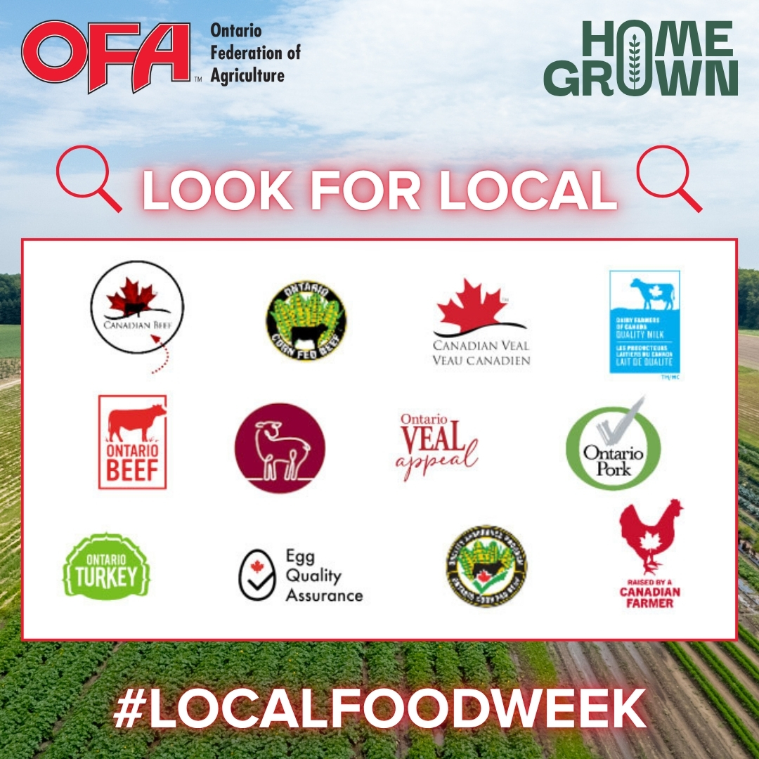 It’s more important now than ever before to show your support for Ontario farmers and the 871,000+ Ontarians employed by the agri-food sector. Visit our buy local resource to ensure you’re supporting home-grown food, beverage and farm products this #localfoodweek and beyond!