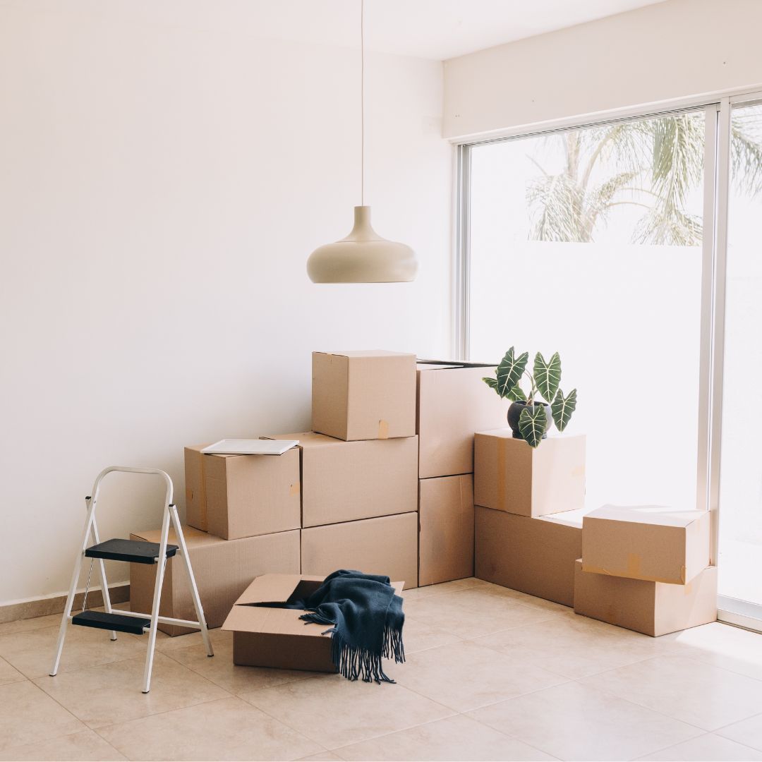 The Center of Concern provides a variety of housing services including the Home Sharing program and HUD Housing Counseling. If you are currently homeless or at risk of becoming homeless, call the Entry Point, Suburban Cook County Call Center at 877-426-6515.