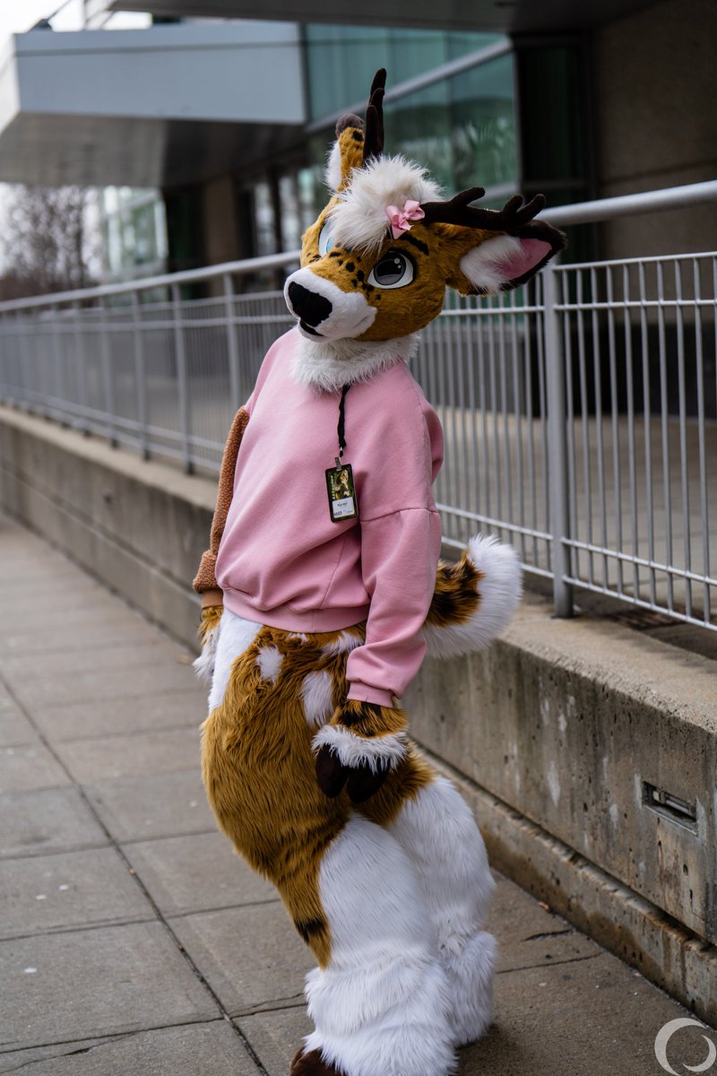 Just a deer in the streets 🦌

 #FursuitFriday 
📸: <a href="/SkepticTheWolf/">SkepticTheWolf</a>