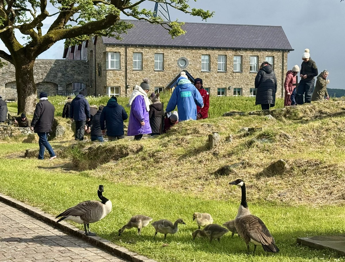 Eamonn Conway (@eamonnconway) on Twitter photo Several first time pilgrims to <a href="/lough_derg/">Lough Derg</a> this season, among them a family of wild geese! Several first time pilgrims to <a href="/lough_derg/">Lough Derg</a> this season, among them a family of wild geese!