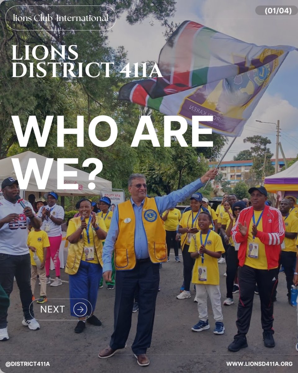 lions District 411A tweet media
