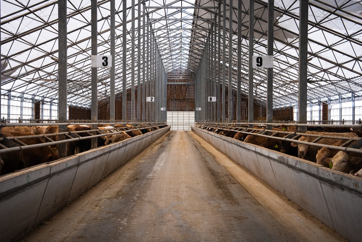Precast feed bunks make feeding easier and more efficient. 🐄
They’re strong, durable, and built to handle all kinds of weather—year after year.

#StubbesPrecast #FeedBunks #FarmSmart #LivestockFeeding #BuiltToLast #PrecastForFarms
