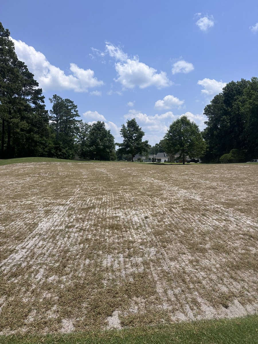 Turfbombero's tweet photo. This week brought 14 greens sprigged, 2.5 more fairways, the train keeps rolling at @OldeEight !

 #thankful https://t.co/FPnDlZ4mdy