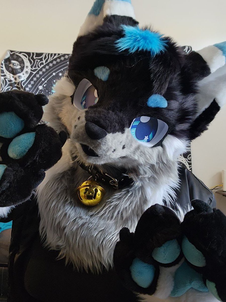Akari 🚗DenFur (@lil_wusky) on Twitter photo Another Fursuit Friday but this time alittle more ✨kemono✨ made by the amazing <a href="/Ruby_protogen/">RubyProtogenStudio</a> 💙💙💙 Another Fursuit Friday but this time alittle more ✨kemono✨ made by the amazing <a href="/Ruby_protogen/">RubyProtogenStudio</a> 💙💙💙