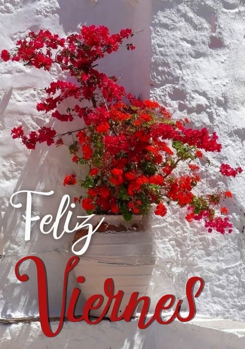 Mensajesluz🕉 (@mensajesluz) on Twitter photo <a href="/ss_gladys/">Gladys Nohemi</a> <a href="/AELHUZ/">ALMA, EL PODER DE LA ORACION</a> <a href="/buguitabuguita/">Elizabeth Ferraro</a> <a href="/lepetitportcord/">le petit port cordon</a> <a href="/Edward733/">ஜ۩ღEdward Simღ۩ஜ 심상갑</a> <a href="/d_mhg/">Maria H. G.</a> <a href="/RosariodelCdeV1/">Rosario del C de Vasquez</a> <a href="/ArlindoFerreir4/">Arlindo Ferreira</a> <a href="/CerdanPastora/">PastoraAnaCerdan</a> <a href="/RayzzaRg/">✨ℝ𝕒𝕪𝕫𝕫𝕒 ℂ𝕖✨</a> <a href="/NievesAsensi/">Nieves Perez asensi</a> <a href="/erhbol/">Enrique 😎🏀🏊🏋️</a> <a href="/LopezyValiente/">Toñi Valiente. ® ™</a> <a href="/hada_protectora/">♥♥Hada Protectora♥♥</a> <a href="/latiatt/">María Teresita</a> <a href="/sanjay29599124/">Sanjay Tiwari Azad</a> <a href="/norita3329/">Nora....</a> <a href="/MAGLORIAVILLEG1/">MA.GLORIA VILLEGAS DURAN</a> <a href="/Nelidarojasb3/">Nelidarojasb</a> <a href="/efraguza/">EFRAIN GUTIERREZ Z.</a> <a href="/EmelindaPicadoG/">Emelinda Picado Godí</a> <a href="/d_mhg2014/">María H. G.</a> <a href="/EfrainBrreraAlv/">Efraín Barrera A.</a> <a href="/esedonluis64/">Luis Peña</a> <a href="/LMHH/">Loren M Hernandez H.</a> <a href="/alex1869126097/">alex18_AMT</a> <a href="/bernardo_98364/">Sawamura en la red</a> <a href="/PONCHOAGOPLA/">Poncho Gómez-Plaza</a> <a href="/MIBramajo/">Maria Ines Bramajo, Feliz 2023...❤️🇦🇷💙</a> <a href="/JLContrerasArt/">Jorge Contreras Art</a> <a href="/ahinamendez/">ahinamendez DM 🚫</a> <a href="/Gladis_Ag/">Gla!</a> <a href="/pgnora/">Nora Piña Ghazzaoui</a> <a href="/hildamarcano39/">hillda marcano</a> <a href="/CitraroTorres/">Mariella Torres Citraro</a> <a href="/saulastam/">Sastam_25</a> <a href="/XimPete/">Familia Olguin Pobl</a> <a href="/PulidoSolange/">Ningún Lugar está Lejos. 🇻🇪</a> <a href="/anysogo/">ANA MARÍA SOGO</a> <a href="/OmairaCorreo/">Omaira De Cobo</a> <a href="/Anauj_maces/">Caro Macias</a> <a href="/steligarcia/">Sonia Garcia</a> <a href="/kitty_sanrio1/">Lic Laura Perez</a> <a href="/mamaruza78/">Mamaruza</a> <a href="/MaryGom31034524/">Mary Gomez</a> <a href="/igsaGsanchez/">igsa sanchez</a> <a href="/GomezLuisE/">Luis Enrique Gómez Osorio</a> <a href="/FermnEstevez2/">Fermín. Estevez.</a> <a href="/CarlosA98725897/">Carlos Aguilar</a> “𝐿𝑜 𝑏𝑜𝑛𝑖𝑡𝑜 𝑑𝑒 𝑙𝑎 𝑒𝑠𝑒𝑛𝑐𝑖𝑎 𝑒𝑠 𝑞𝑢𝑒 𝑒𝑠 𝑛𝑎𝑡𝑢𝑟𝑎𝑙, 𝑛𝑜 𝑠𝑒 𝑐𝑜𝑝𝑖𝑎, 𝑛𝑜 𝑠𝑒 𝑎𝑝𝑟𝑒𝑛𝑑𝑒,
𝑒𝑠 𝑡𝑢𝑦𝑎 𝑛𝑎𝑑𝑎 𝑚𝑎𝑠.”
Muy Bonita Tarde querida amiga...🫂 <a href="/ss_gladys/">Gladys Nohemi</a> <a href="/AELHUZ/">ALMA, EL PODER DE LA ORACION</a> <a href="/buguitabuguita/">Elizabeth Ferraro</a> <a href="/lepetitportcord/">le petit port cordon</a> <a href="/Edward733/">ஜ۩ღEdward Simღ۩ஜ 심상갑</a> <a href="/d_mhg/">Maria H. G.</a> <a href="/RosariodelCdeV1/">Rosario del C de Vasquez</a> <a href="/ArlindoFerreir4/">Arlindo Ferreira</a> <a href="/CerdanPastora/">PastoraAnaCerdan</a> <a href="/RayzzaRg/">✨ℝ𝕒𝕪𝕫𝕫𝕒 ℂ𝕖✨</a> <a href="/NievesAsensi/">Nieves Perez asensi</a> <a href="/erhbol/">Enrique 😎🏀🏊🏋️</a> <a href="/LopezyValiente/">Toñi Valiente. ® ™</a> <a href="/hada_protectora/">♥♥Hada Protectora♥♥</a> <a href="/latiatt/">María Teresita</a> <a href="/sanjay29599124/">Sanjay Tiwari Azad</a> <a href="/norita3329/">Nora....</a> <a href="/MAGLORIAVILLEG1/">MA.GLORIA VILLEGAS DURAN</a> <a href="/Nelidarojasb3/">Nelidarojasb</a> <a href="/efraguza/">EFRAIN GUTIERREZ Z.</a> <a href="/EmelindaPicadoG/">Emelinda Picado Godí</a> <a href="/d_mhg2014/">María H. G.</a> <a href="/EfrainBrreraAlv/">Efraín Barrera A.</a> <a href="/esedonluis64/">Luis Peña</a> <a href="/LMHH/">Loren M Hernandez H.</a> <a href="/alex1869126097/">alex18_AMT</a> <a href="/bernardo_98364/">Sawamura en la red</a> <a href="/PONCHOAGOPLA/">Poncho Gómez-Plaza</a> <a href="/MIBramajo/">Maria Ines Bramajo, Feliz 2023...❤️🇦🇷💙</a> <a href="/JLContrerasArt/">Jorge Contreras Art</a> <a href="/ahinamendez/">ahinamendez DM 🚫</a> <a href="/Gladis_Ag/">Gla!</a> <a href="/pgnora/">Nora Piña Ghazzaoui</a> <a href="/hildamarcano39/">hillda marcano</a> <a href="/CitraroTorres/">Mariella Torres Citraro</a> <a href="/saulastam/">Sastam_25</a> <a href="/XimPete/">Familia Olguin Pobl</a> <a href="/PulidoSolange/">Ningún Lugar está Lejos. 🇻🇪</a> <a href="/anysogo/">ANA MARÍA SOGO</a> <a href="/OmairaCorreo/">Omaira De Cobo</a> <a href="/Anauj_maces/">Caro Macias</a> <a href="/steligarcia/">Sonia Garcia</a> <a href="/kitty_sanrio1/">Lic Laura Perez</a> <a href="/mamaruza78/">Mamaruza</a> <a href="/MaryGom31034524/">Mary Gomez</a> <a href="/igsaGsanchez/">igsa sanchez</a> <a href="/GomezLuisE/">Luis Enrique Gómez Osorio</a> <a href="/FermnEstevez2/">Fermín. Estevez.</a> <a href="/CarlosA98725897/">Carlos Aguilar</a> “𝐿𝑜 𝑏𝑜𝑛𝑖𝑡𝑜 𝑑𝑒 𝑙𝑎 𝑒𝑠𝑒𝑛𝑐𝑖𝑎 𝑒𝑠 𝑞𝑢𝑒 𝑒𝑠 𝑛𝑎𝑡𝑢𝑟𝑎𝑙, 𝑛𝑜 𝑠𝑒 𝑐𝑜𝑝𝑖𝑎, 𝑛𝑜 𝑠𝑒 𝑎𝑝𝑟𝑒𝑛𝑑𝑒,
𝑒𝑠 𝑡𝑢𝑦𝑎 𝑛𝑎𝑑𝑎 𝑚𝑎𝑠.”
Muy Bonita Tarde querida amiga...🫂
