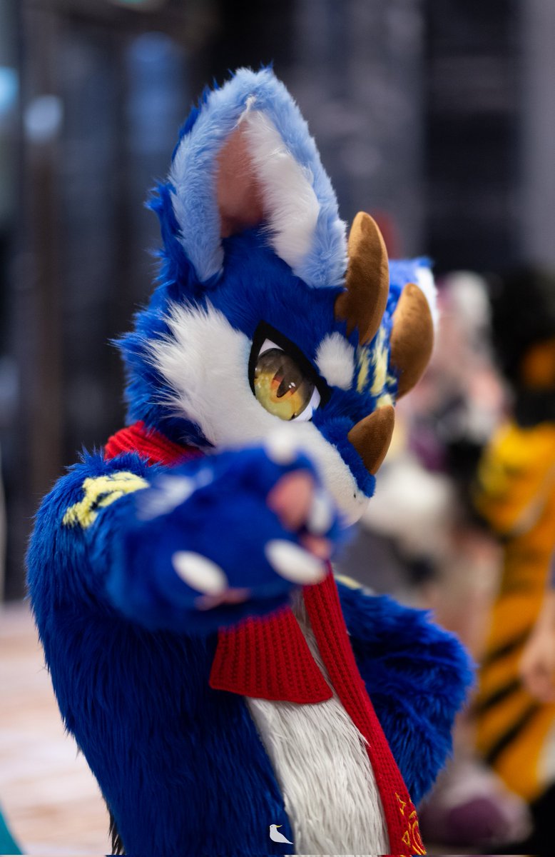 #FursuitFriday
Hey! I want you!
📷：@盔盔葵