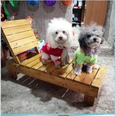 lindo_kiwi's tweet photo. Amikos nos ayudan a difundir el trabajo de mi papá por favor? Él hace muebles sobre diseño, la verdad este mes nos está costando trabajo porque no ha salido nada de trabajo y no hemos podido pagar el módulo de la escuela de mamá que empieza el lunes. Puede hacer lo que ustedes https://t.co/91nzS8hVXo
