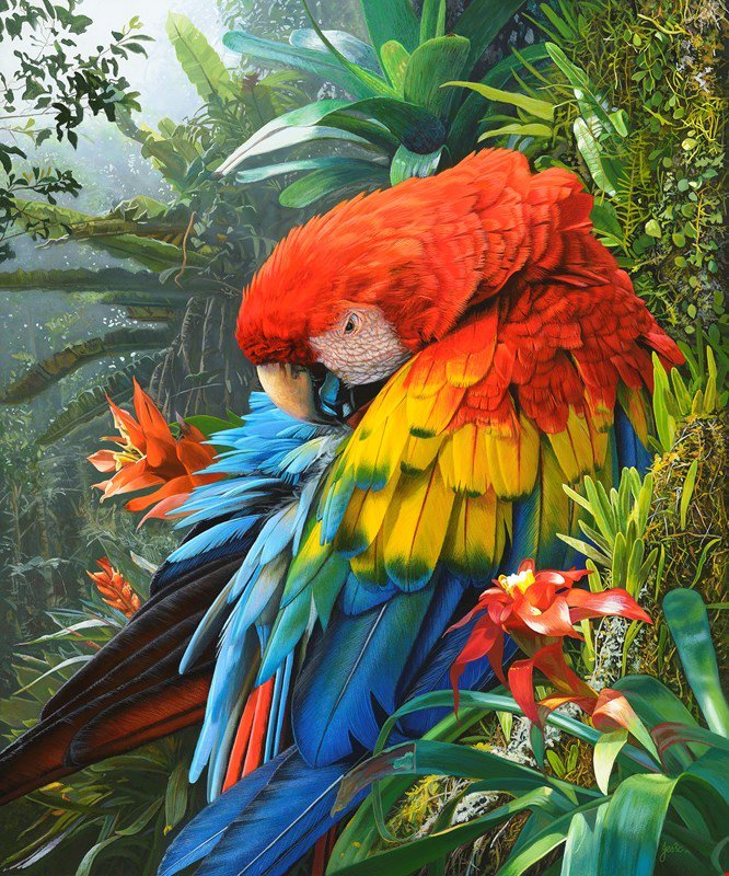 Stephen Jesic, Jewel of the Amazon (Joya del Amazonas), 2015, Acrílico