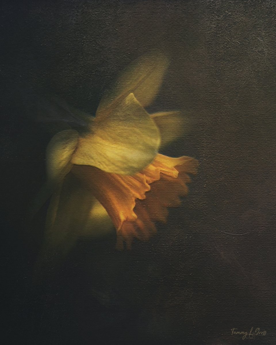 Narciso.
Tu olor.
Y el fondo del río.

Quiero quedarme a tu vera.
Flor del amor.
Narciso.

~ Federico García Lorca, «Narciso»
05.06.1898–19.08.1936
·

© Tammy L. Gross