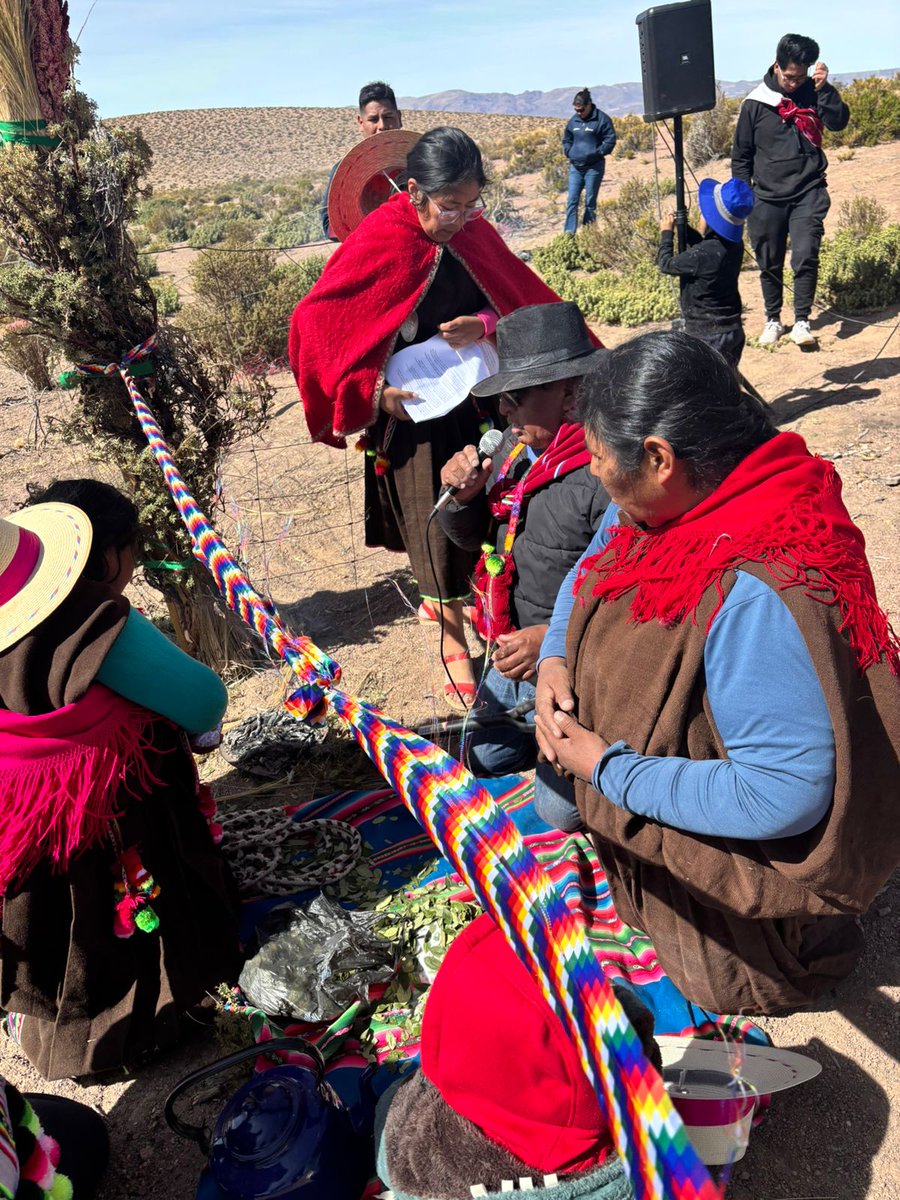 conaf_tarapaca's tweet image. 📍#Colchane | Guardaparques #CONAF participaron en ceremonia de trilla de quinoa de la Cooperativa Jach'a Llapu en el poblado de #Quebe 🌎

➡️ Esta cooperativa busca promover y desarrollar la producción de quinoa con herramientas modernas que permitan darle valor agregado 🌾