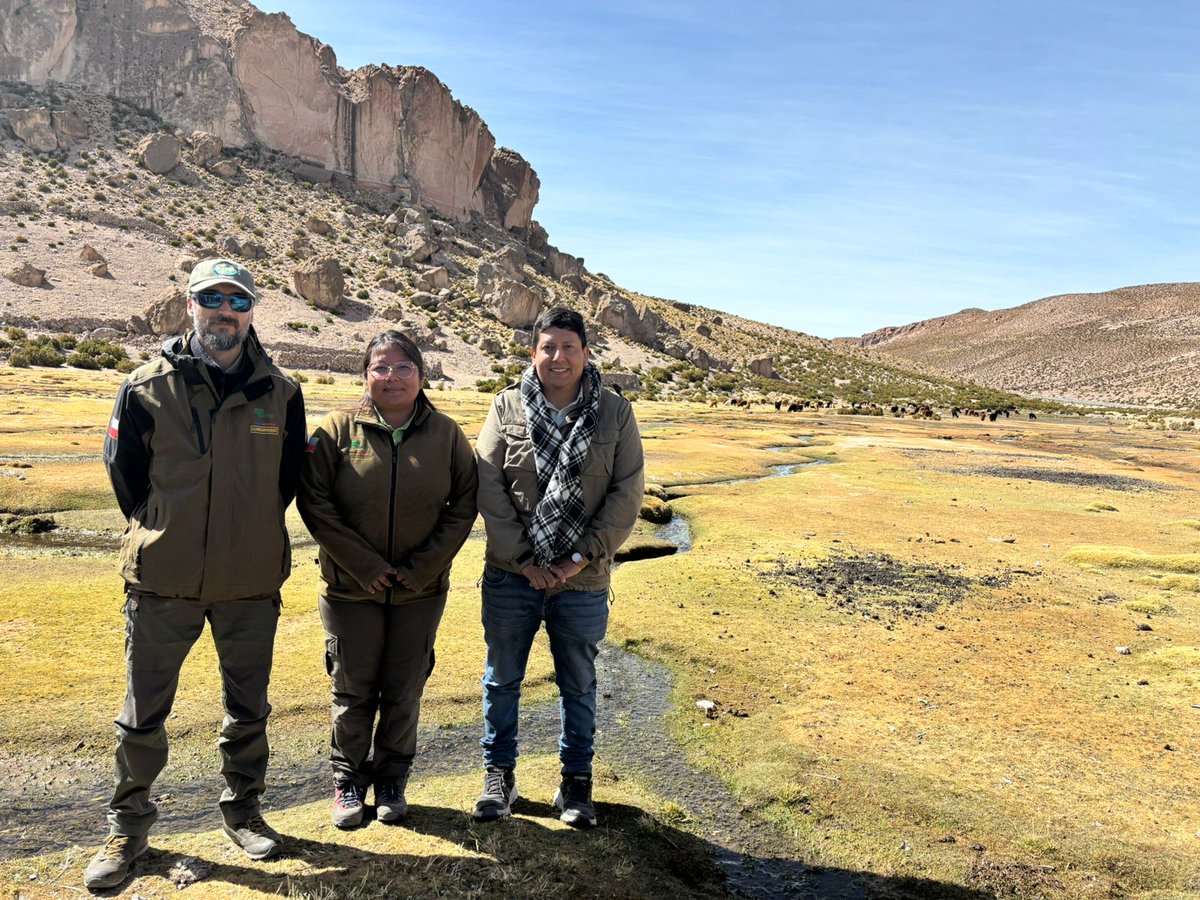 conaf_tarapaca's tweet image. 📍#Colchane | Guardaparques #CONAF participaron en ceremonia de trilla de quinoa de la Cooperativa Jach'a Llapu en el poblado de #Quebe 🌎

➡️ Esta cooperativa busca promover y desarrollar la producción de quinoa con herramientas modernas que permitan darle valor agregado 🌾