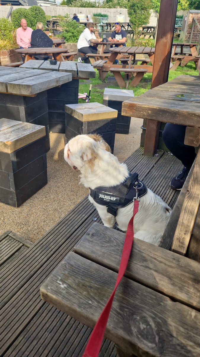 Alison Durkin tweet media