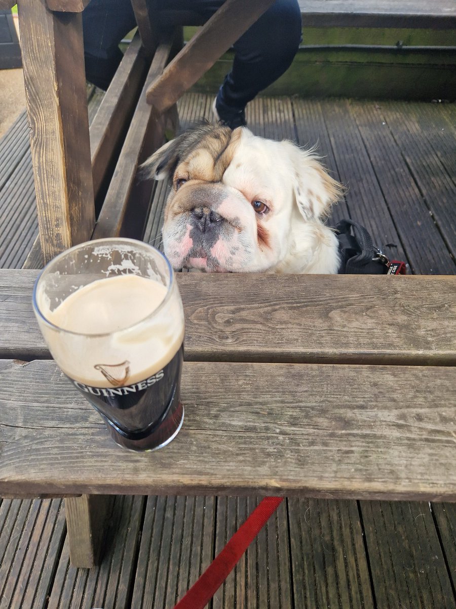 Alison Durkin tweet media