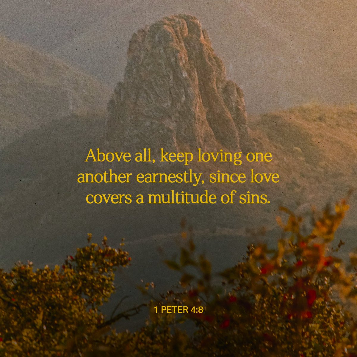 1 Peter 4:8