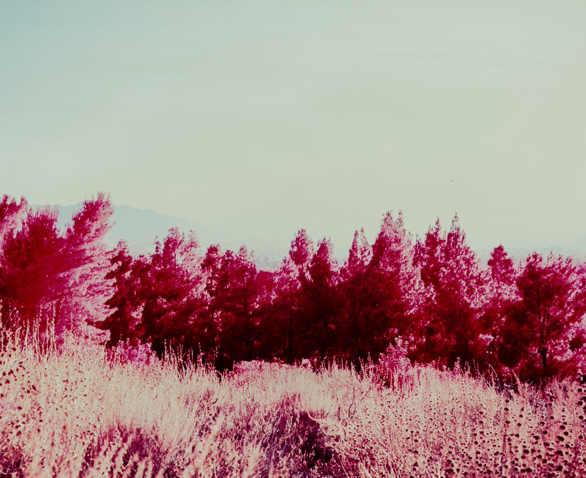 A little fun fact about Aerochrome produced in 1942 and discontinued in 2009, Kodak developed a film that the US military used for arial photographs to detect infrared for camouflage detection. 

The film must be loaded in complete darkness and since most of the film is expired,