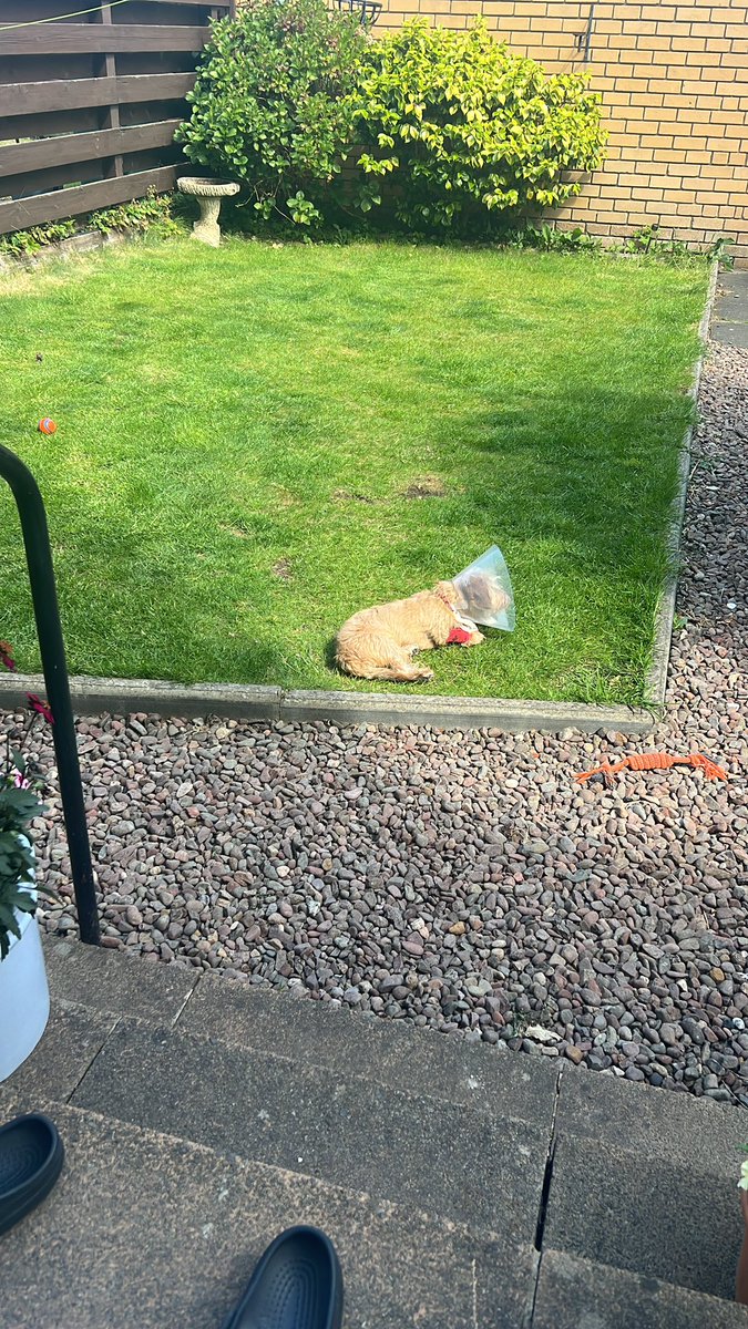 Liam Challenger tweet media