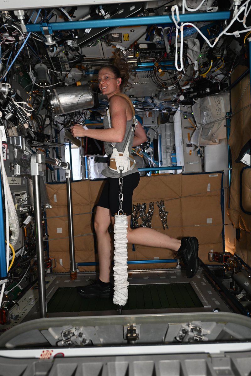 Astro_Ayers's tweet image. While I’m not a huge fan of running on Earth, I have come to enjoy running in space! Did you know we exercise every day up here? We actually call it a countermeasure, because without the force of gravity, your bones, muscles, and other systems start to atrophy.
It amazes me how…