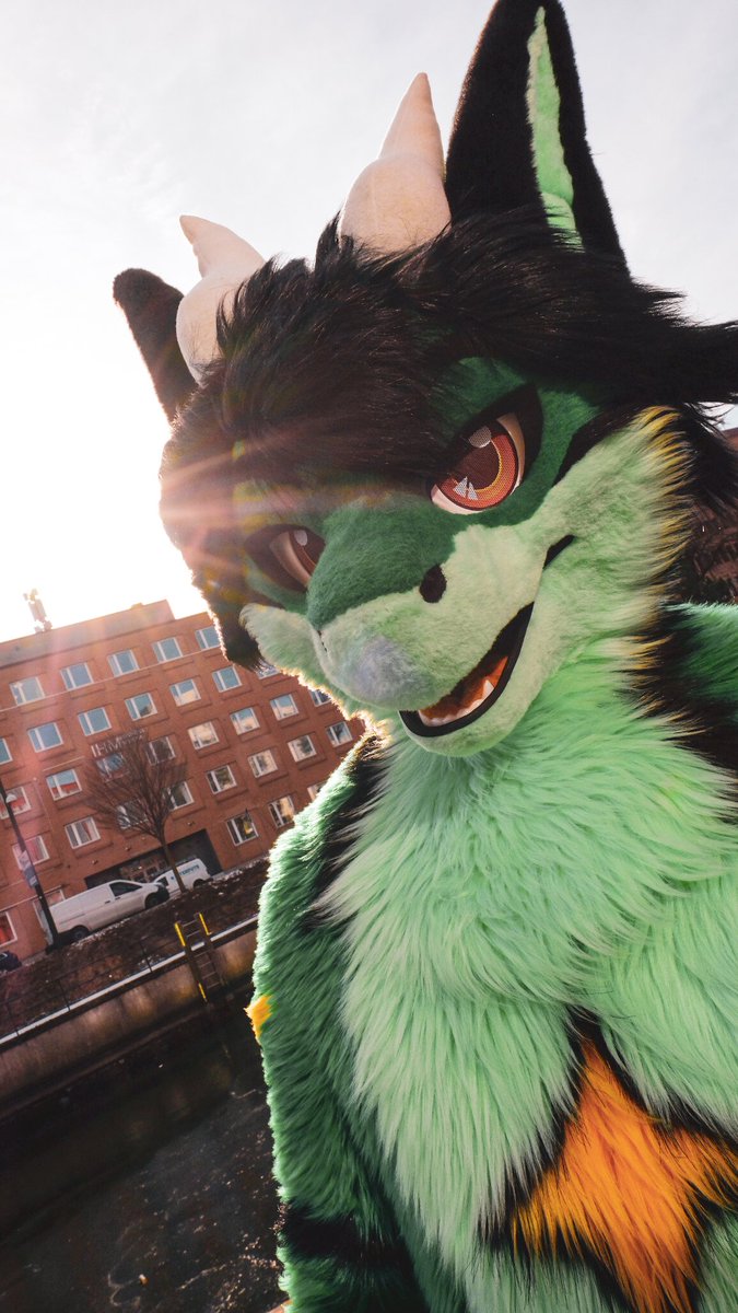 Flinx_Energee's tweet image. It hecking wimdy!