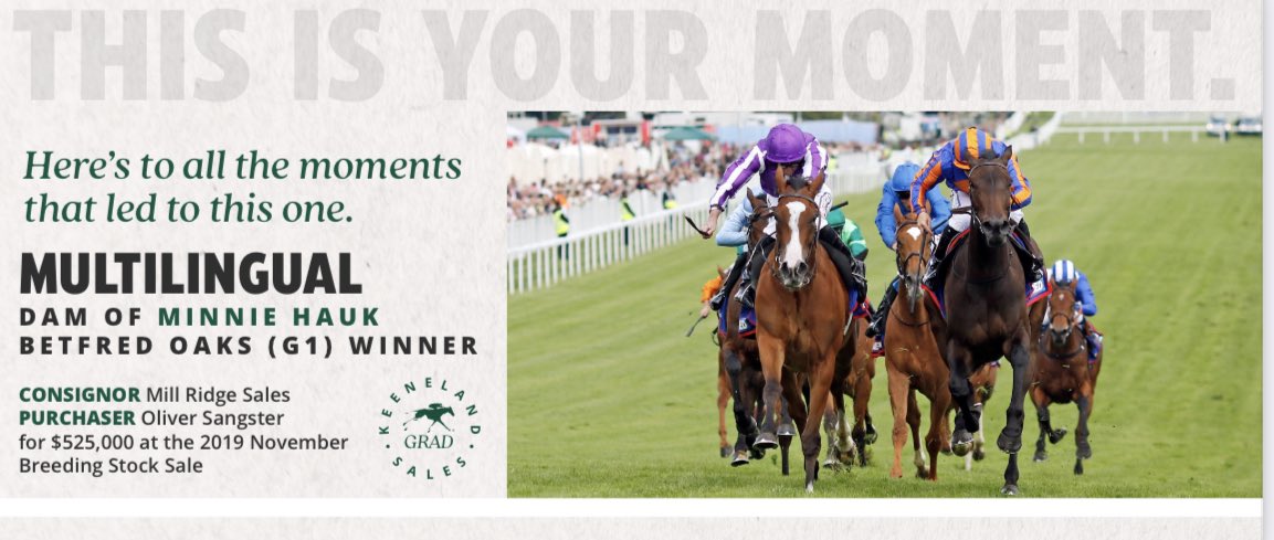 Edward Prosser (@edpross) on Twitter photo He’s not just a talented trainer… <a href="/OllieSangster/">Ollie Sangster</a> bought Multilingual, dam of G1 Betfred Oaks heroine Minnie Hauk, for $525,000 at the 2019 November <a href="/keenelandsales/">Keeneland Sales</a> from <a href="/millridgefarm/">Mill Ridge Farm</a> He’s not just a talented trainer… <a href="/OllieSangster/">Ollie Sangster</a> bought Multilingual, dam of G1 Betfred Oaks heroine Minnie Hauk, for $525,000 at the 2019 November <a href="/keenelandsales/">Keeneland Sales</a> from <a href="/millridgefarm/">Mill Ridge Farm</a>