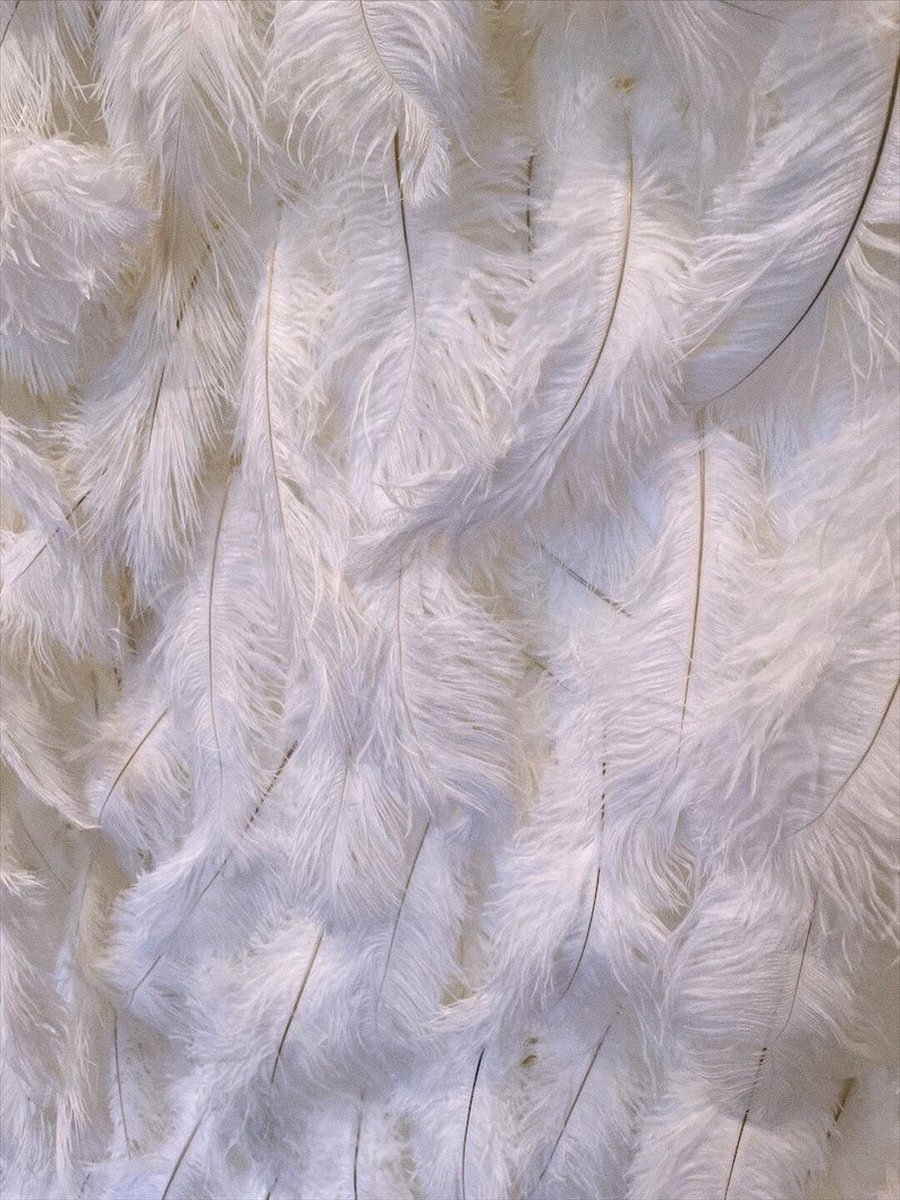 BurlesqueStage's tweet image. GUESS THE SONG NAME 🎶 The glamour is in the details—and the details point to one iconic track. Drop your best guess ✨