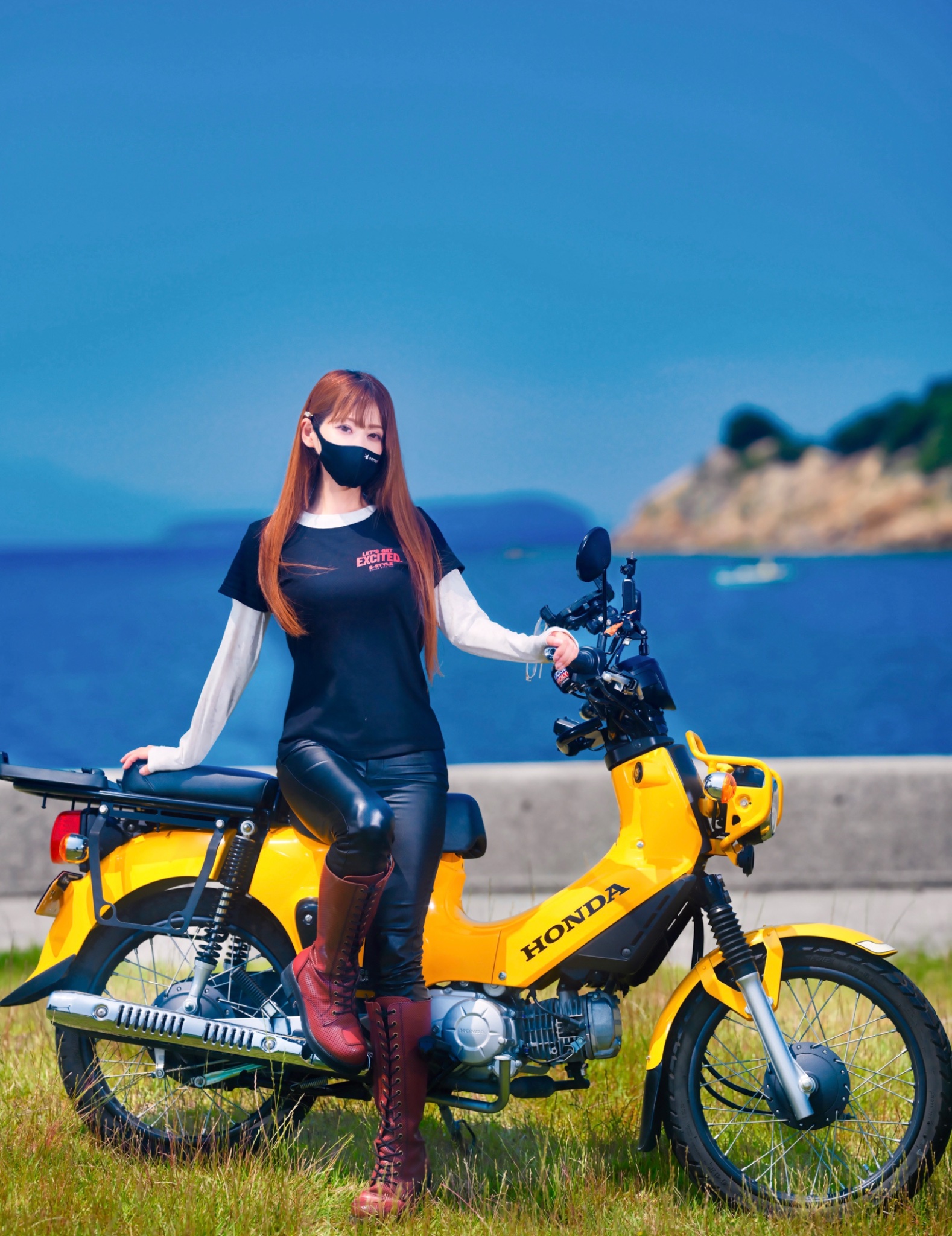 ネコちゃん photo 𝐒ちゃん🌸猫Photo Rider on X: 