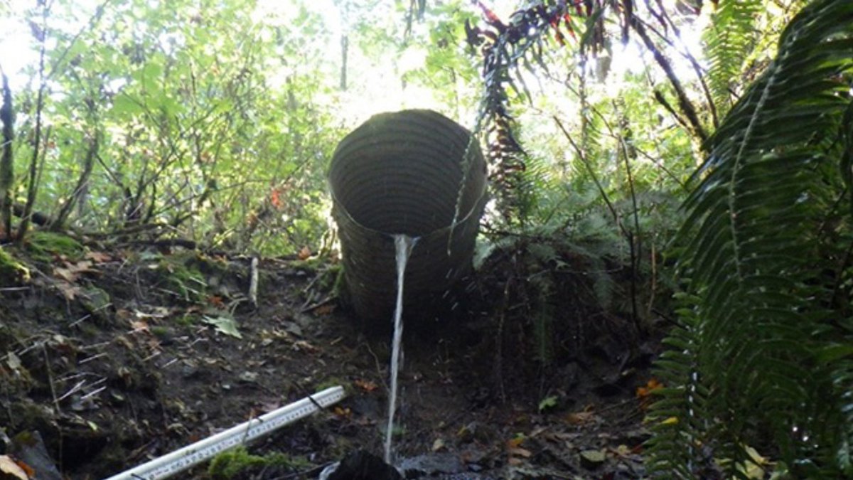 Look at one of the pipes under Sahalee Way NE. Check out how it is sticking out from the side of the road – meaning the soil underneath has eroded. When the pipe is no longer supported, it can fail completely and cause the road to slide. More info at KingCounty.gov/Sahalee-Way-NE