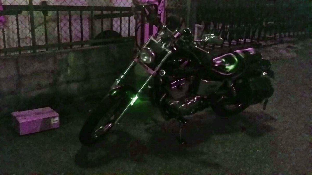 quartette@Rickyｰりくねこさん tweet media