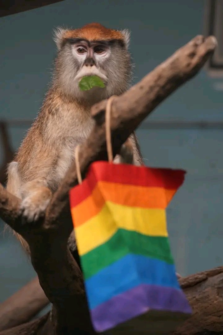 This is a real photo.