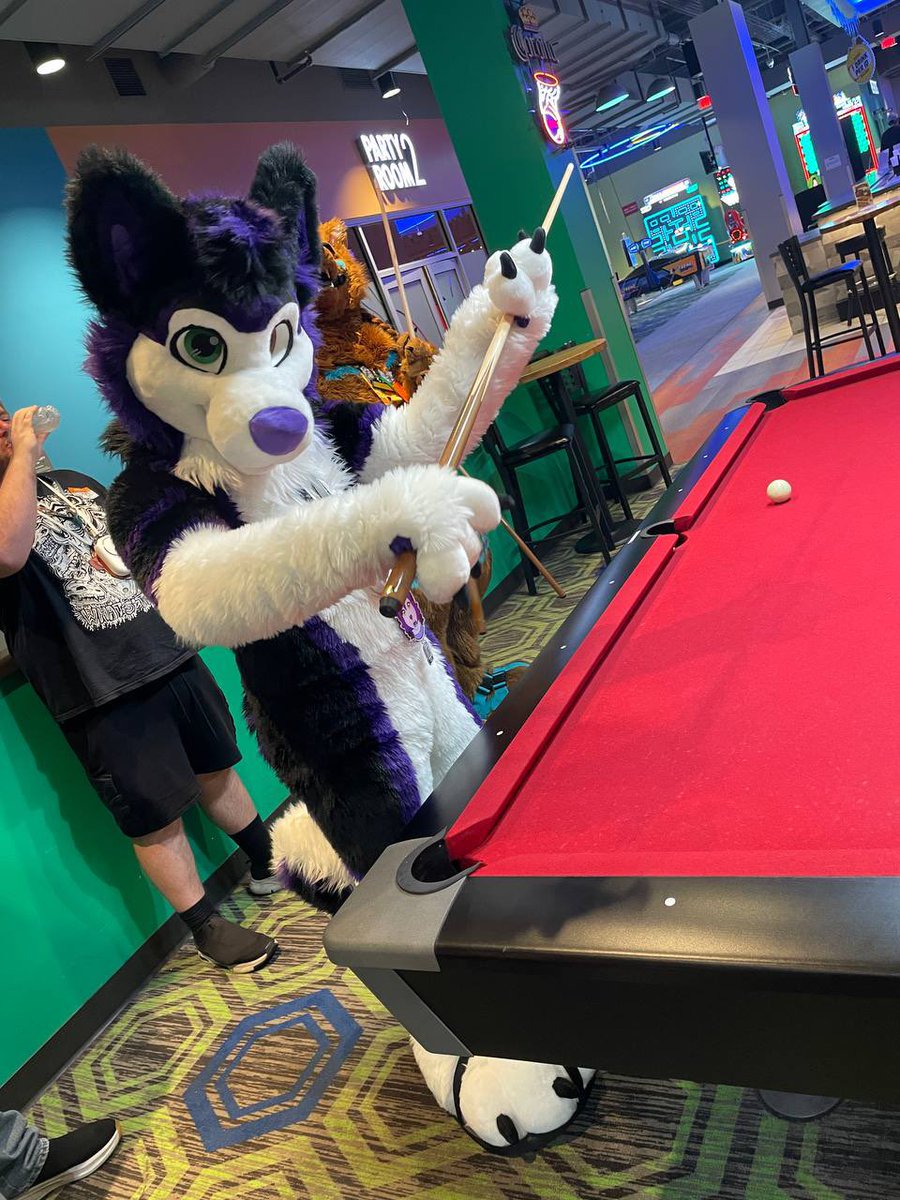 VincentZX (@vincentoblivion) on Twitter photo Who said a dog can’t play pool? I’ve got this. #FursuitsFriday
🧵<a href="/WildDogWorks/">WildDogWorks.com on 🦋</a> Who said a dog can’t play pool? I’ve got this. #FursuitsFriday
🧵<a href="/WildDogWorks/">WildDogWorks.com on 🦋</a>