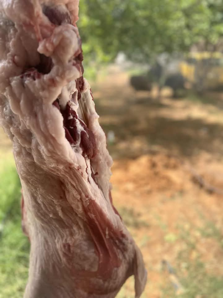 تيم اليوم الأول 
#عيد_أضحى_مبارك 😎❤️