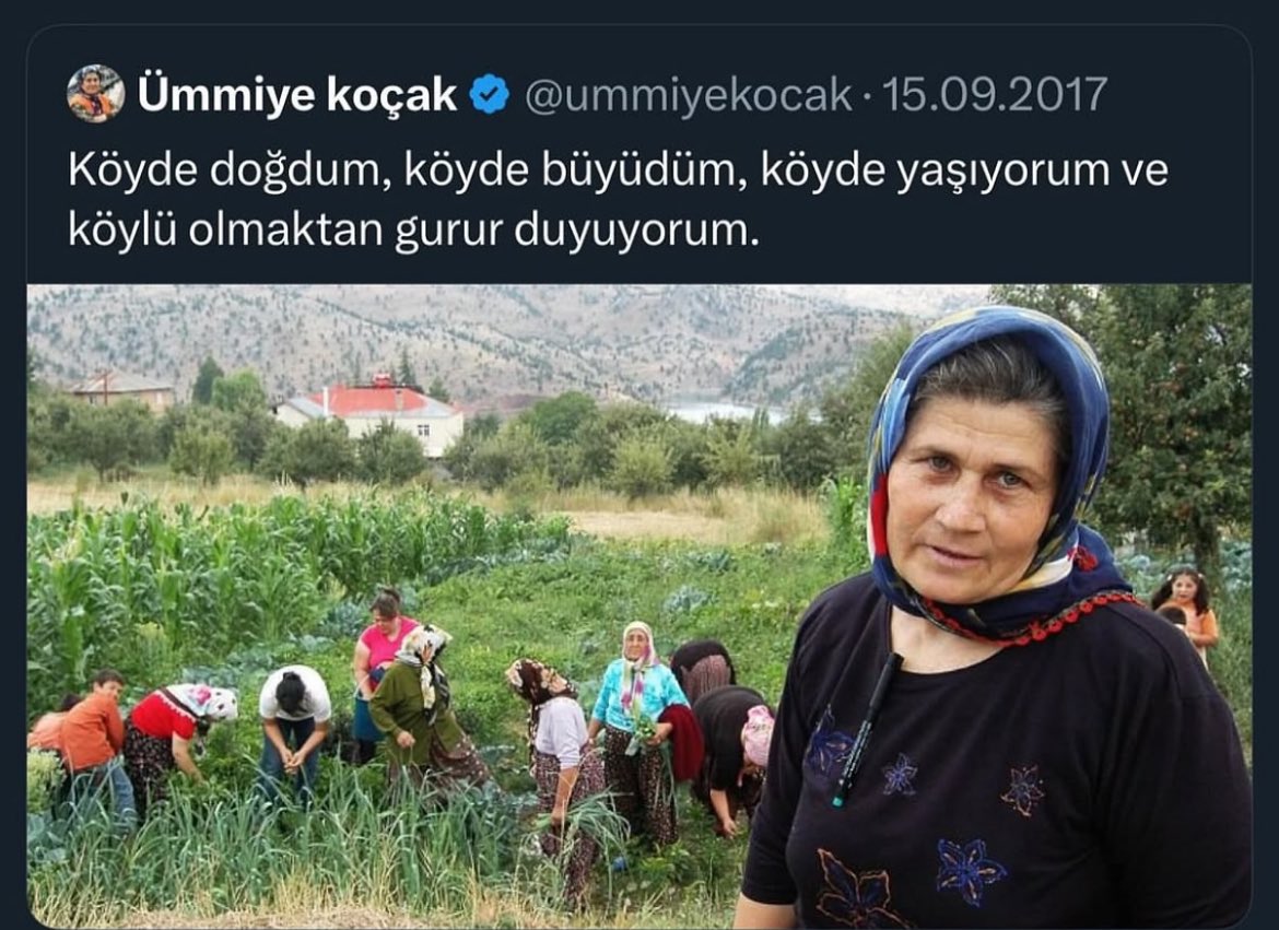 vampir köylü oyununda vampir olduğum anlaşılmasın diye ortaya attığım tezlerim