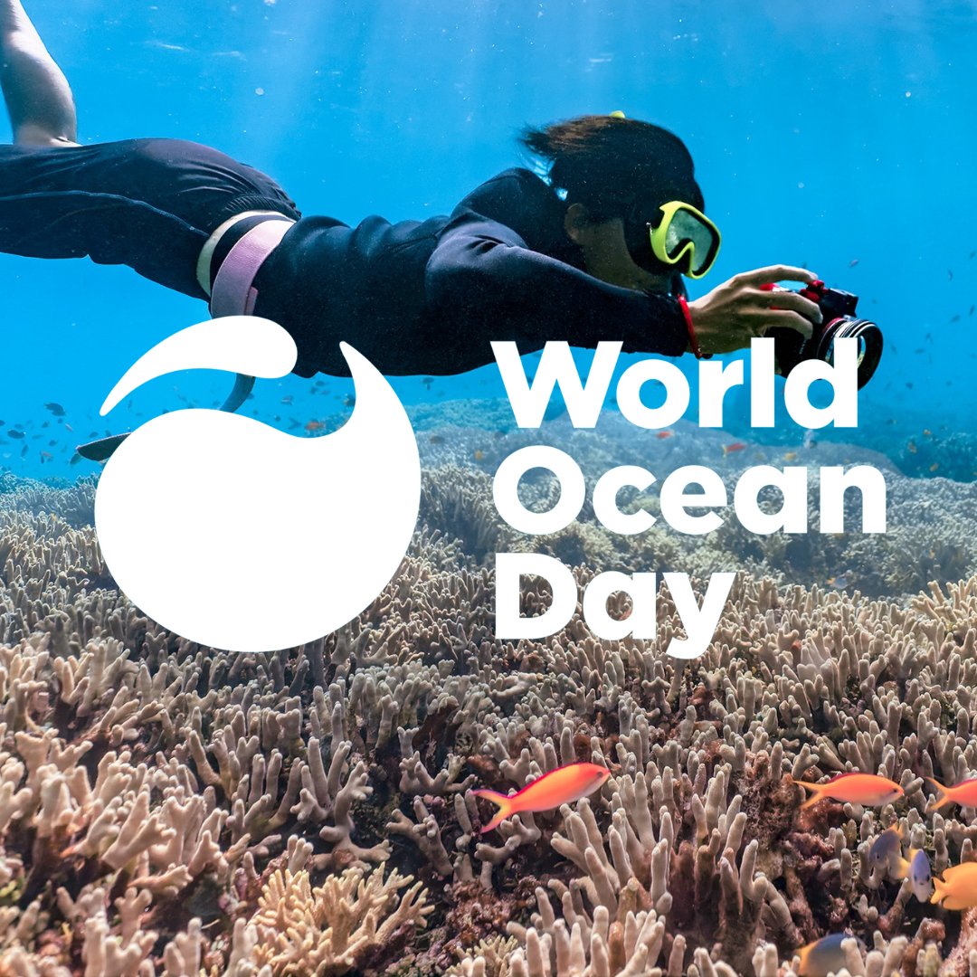 It’s #WorldOceansDay, a time to appreciate the all the beauty and wonder in our oceans! And a time to remember our connection to the ocean through the storm drains on our streets, which flow to creeks,  the Bay, and the Pacific Ocean. Protecting our oceans begins at home.